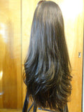 European Multidirectional 26" Straight Dark Brown with Highlights #6/2 - wigs, Women's Wigs - kosher, Malky Wigs - Malky Wigs